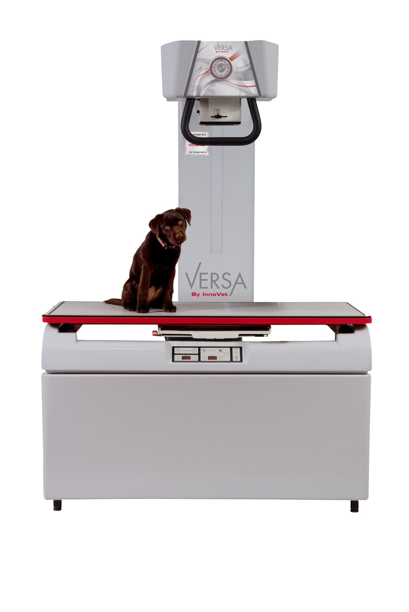 Innovet Versa Veterinary System Radiology Imaging Solutions 