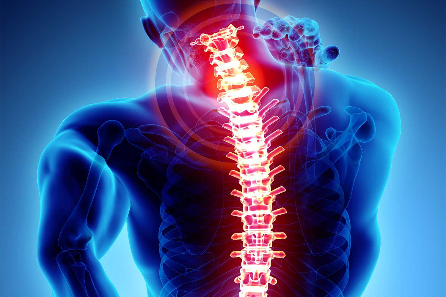 Chiropractors Radiology Imaging Solutions