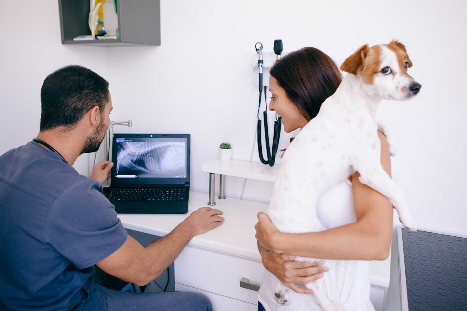 Veterinary - Radiology Imaging Solutions